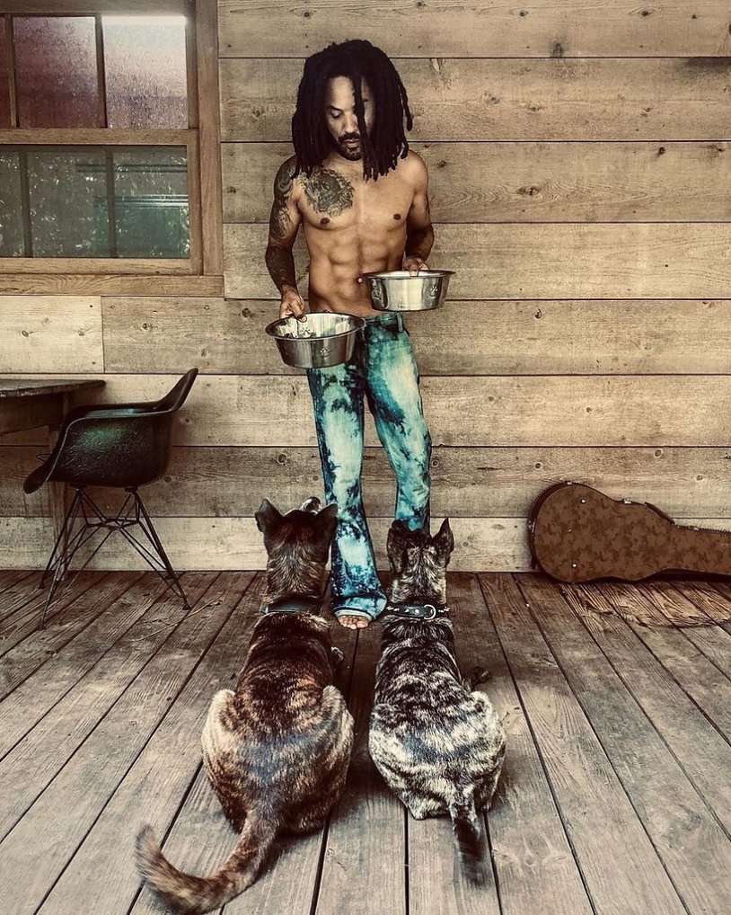 Lenny Kravitz 2020 torso