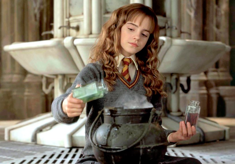 Hermione Granger Chamber of Secrets