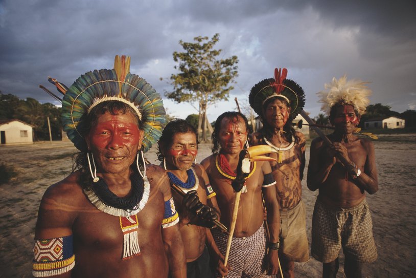 Wild Tribes