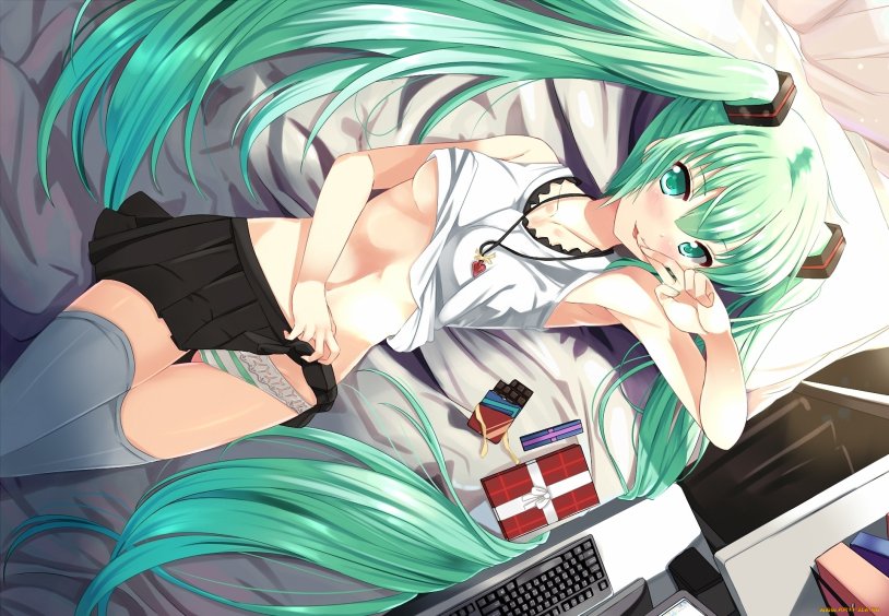 Hatsune Miku pantsu
