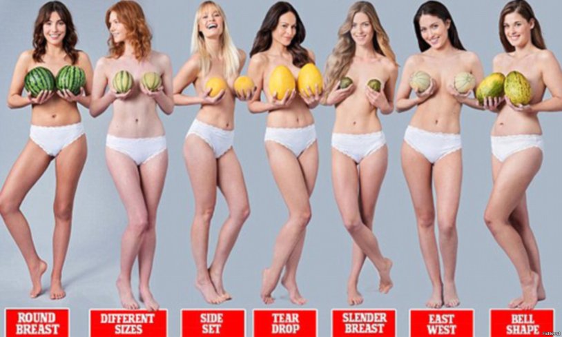 Sizes of the female breast