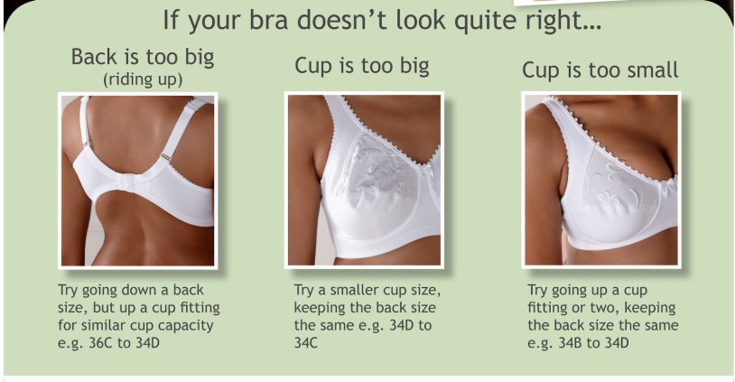 J Cup Size