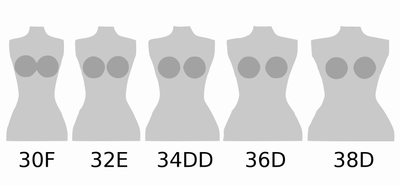 Bust measurements in pictures