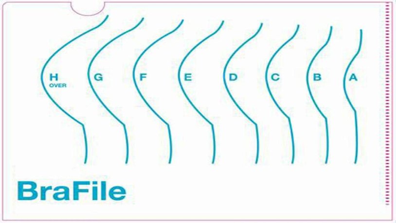Women's Breasts Sizes 1-9