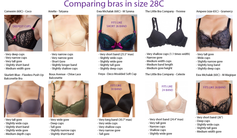 B Cup Bra Size