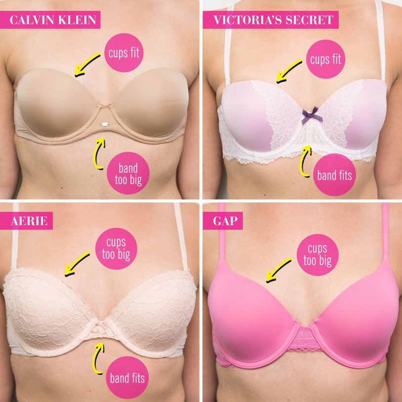 Female breast size d