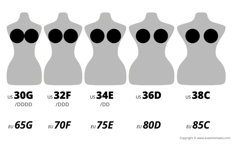 Female breast size d