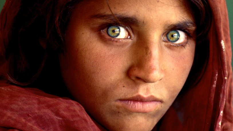 Sharbat Gula 2021