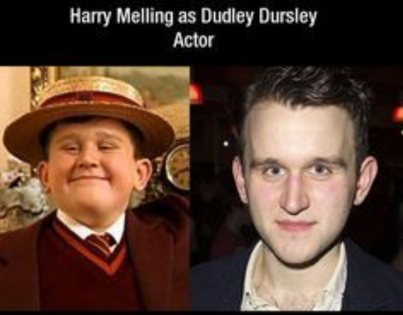 Dudley Dursley Harry Potter Now
