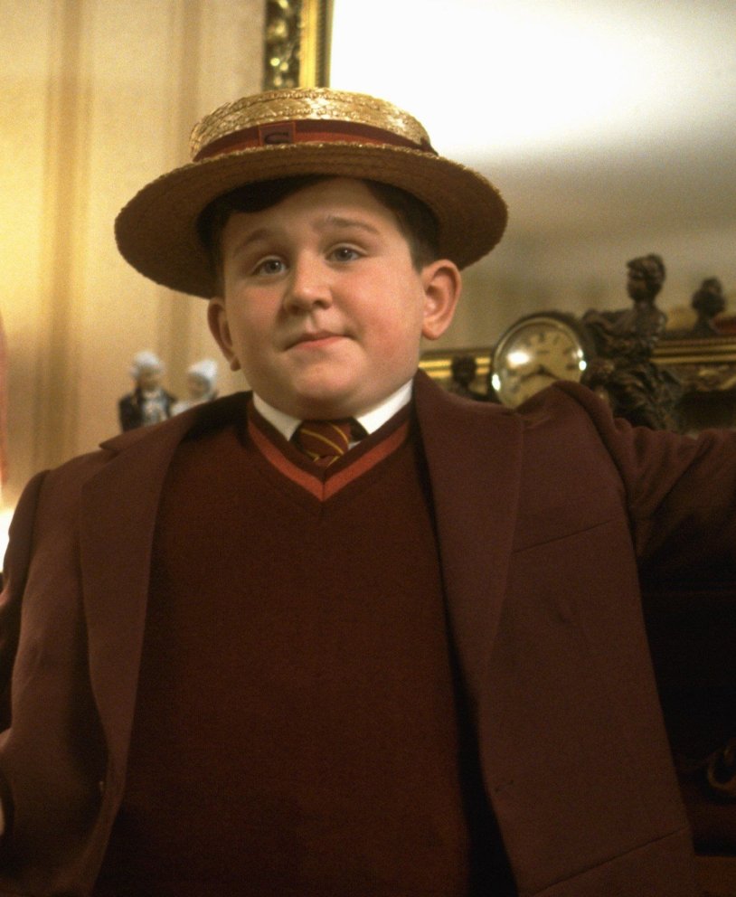 Harry Potter's brother Dudley