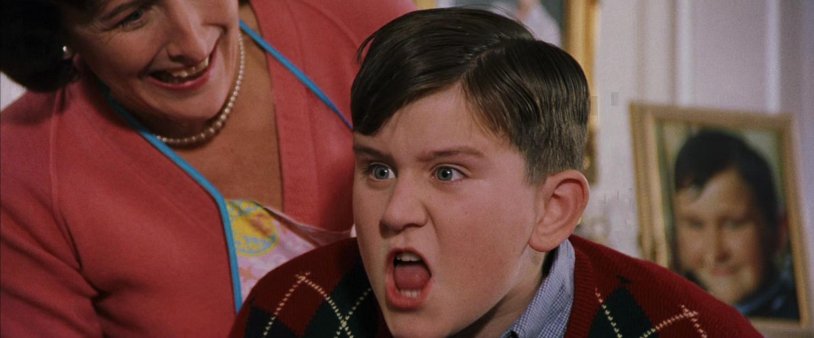 Dudley Dursley Philosopher's Stone