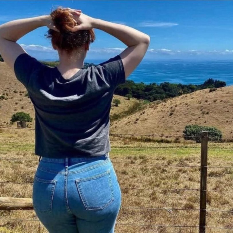 Bryce dallas howard figure