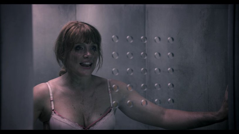 Bryce Dallas Howard in Lingerie