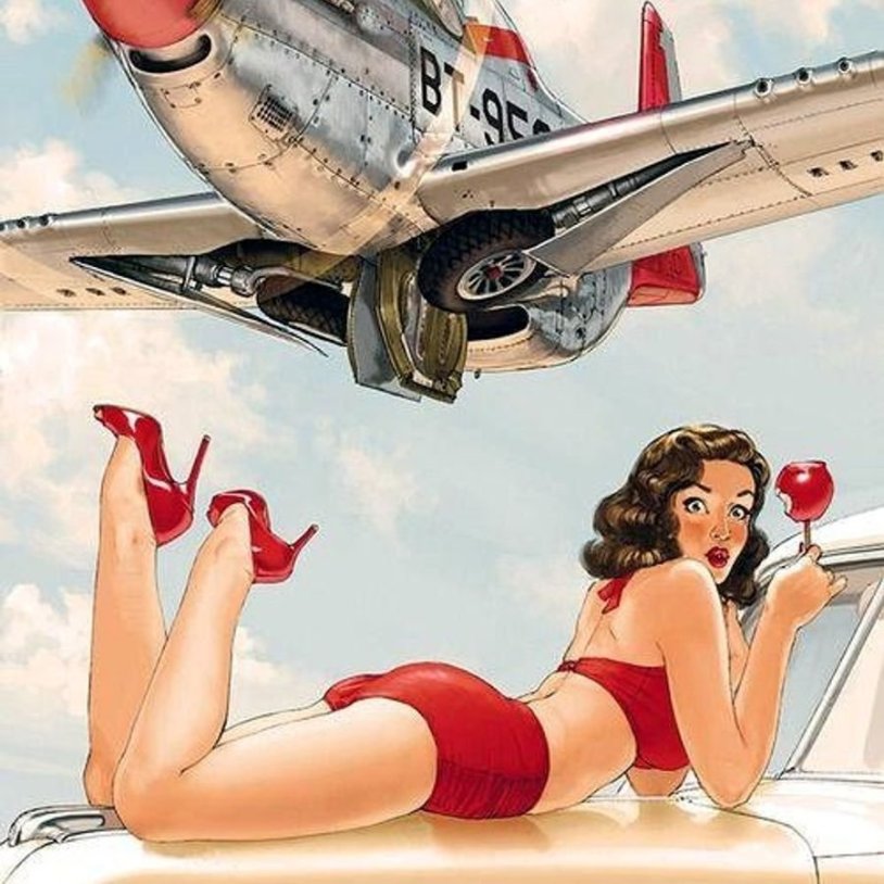 Pin up on airplanes