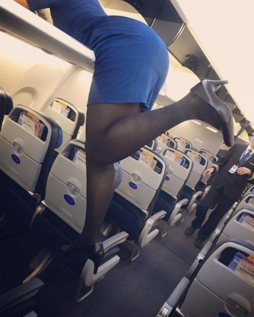 Beautiful legs of a stewardess in an airplane