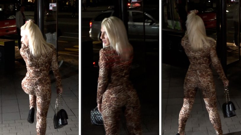 Leopard Print overalls