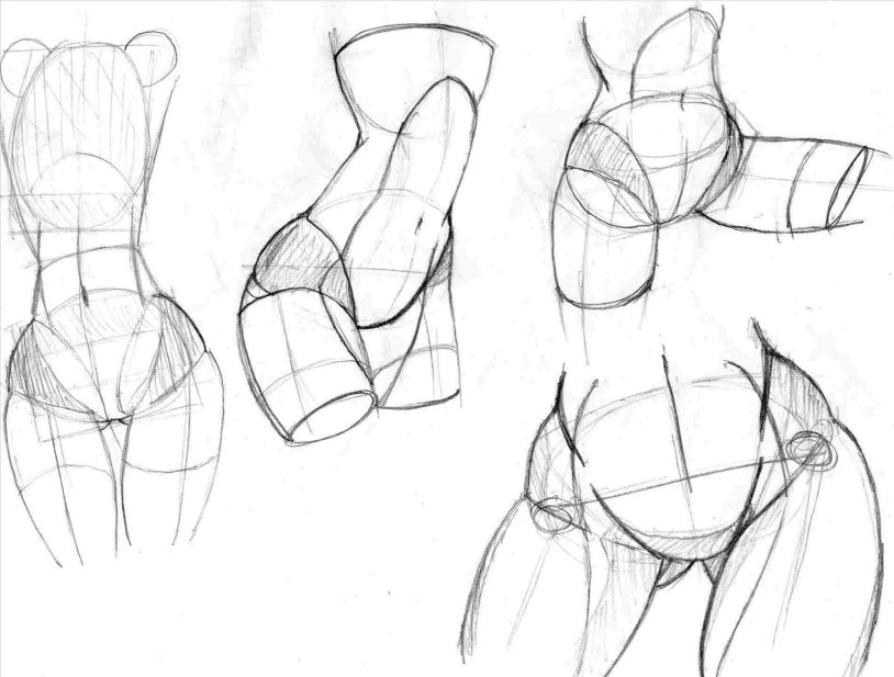 Body anatomy for drawing