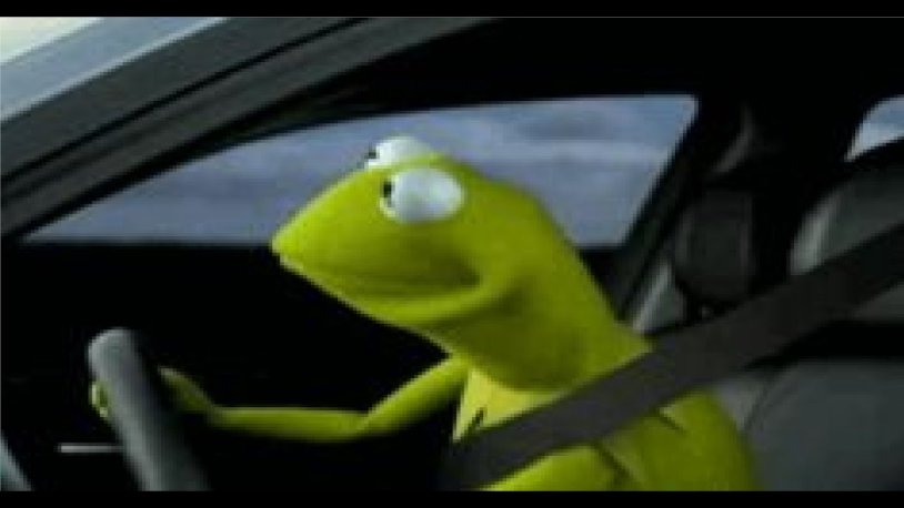 Cermet the frog at the wheel