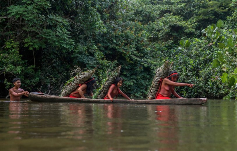Amazon Selva Indians