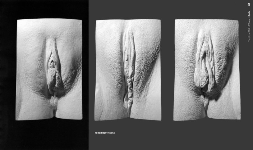 Vagina options for the location