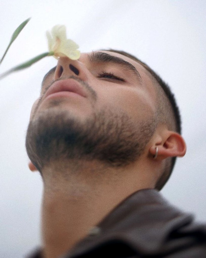 Maverick McConnell Penis