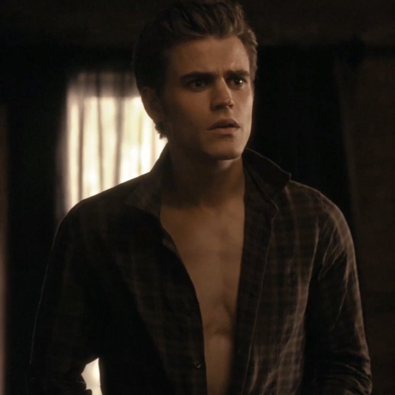 Stefan Salvatore lifts Mike