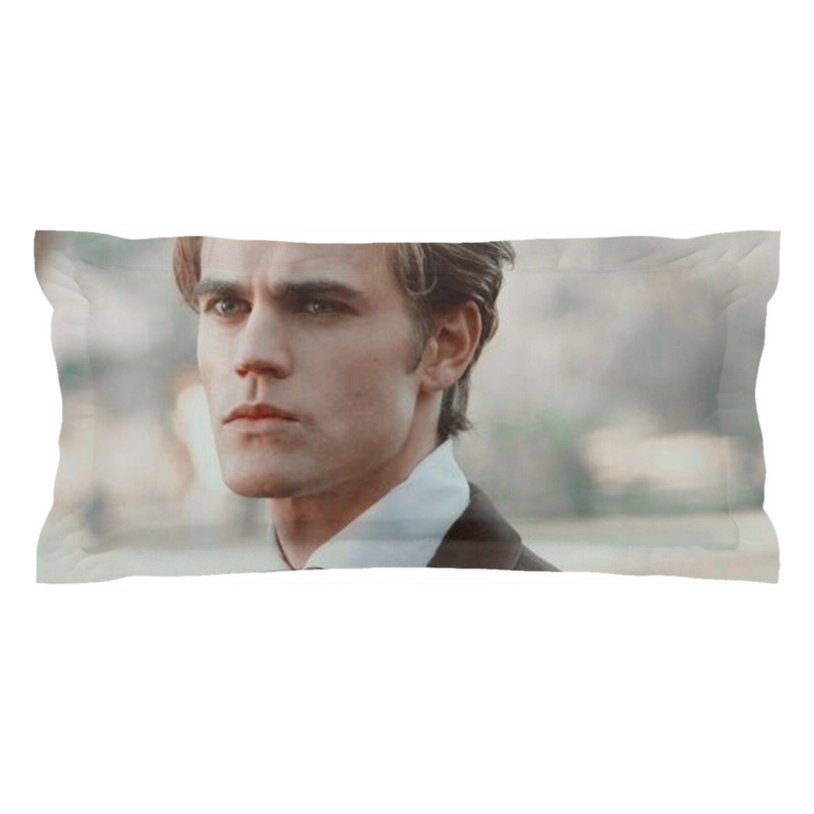 Paul Wesley Stefan Salvatore