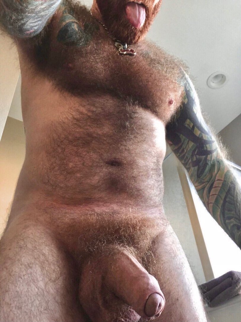 Huge hairy cock art