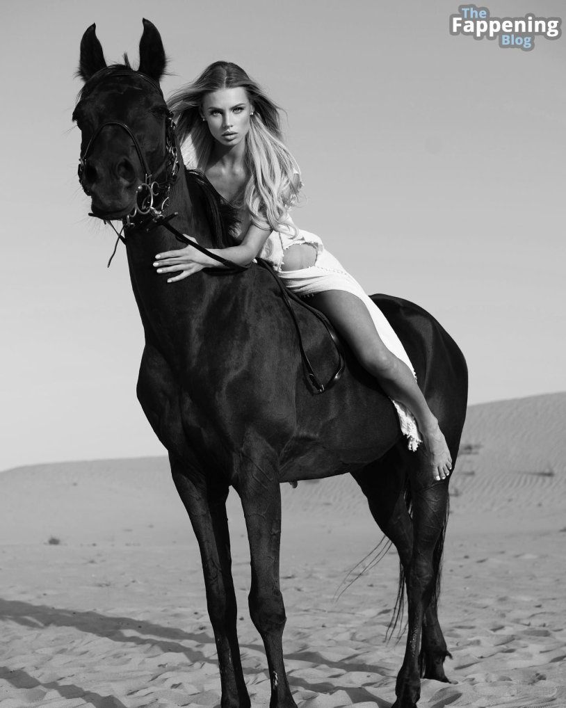 Image for a photo shoot with horses