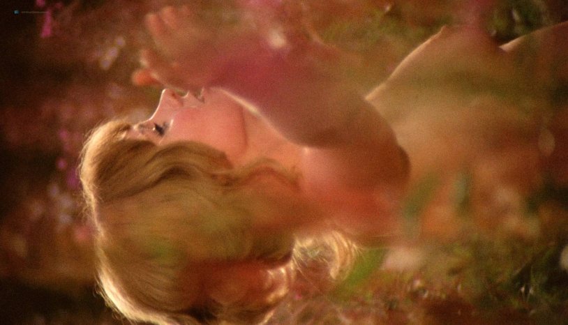 Jane Barbarella Foundation