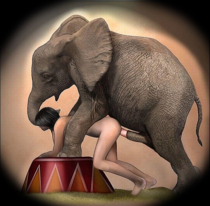 Naked photo shoot with an elephant