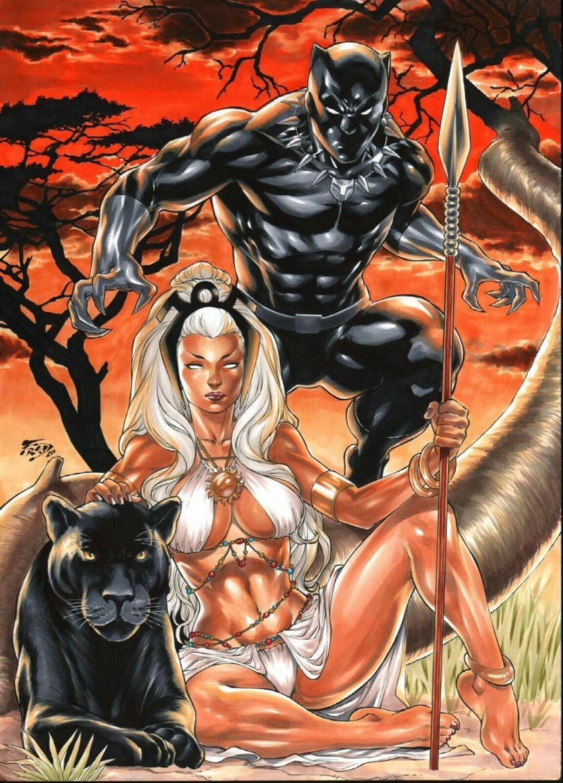 Storm and Black Panther Marvel