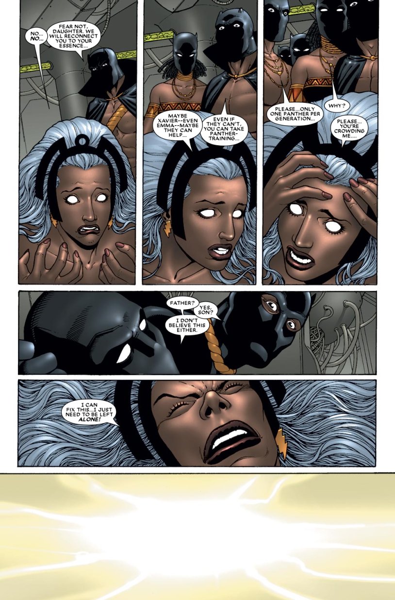 Storm and Black Panther Marvel
