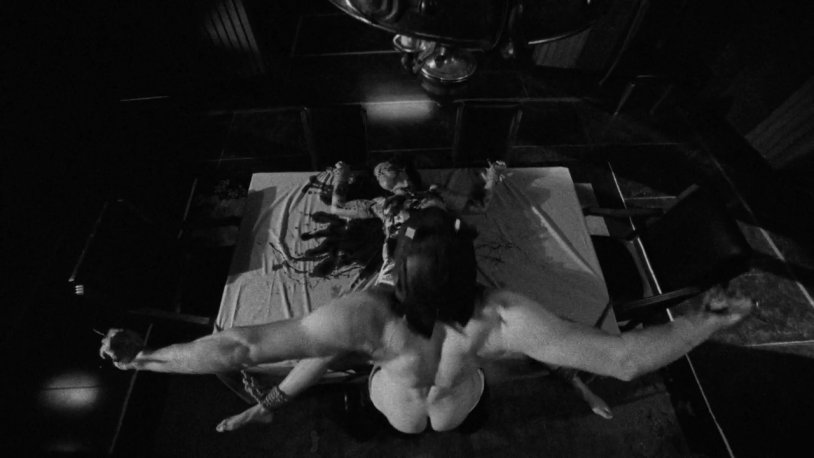 Evan Peters Pornezen