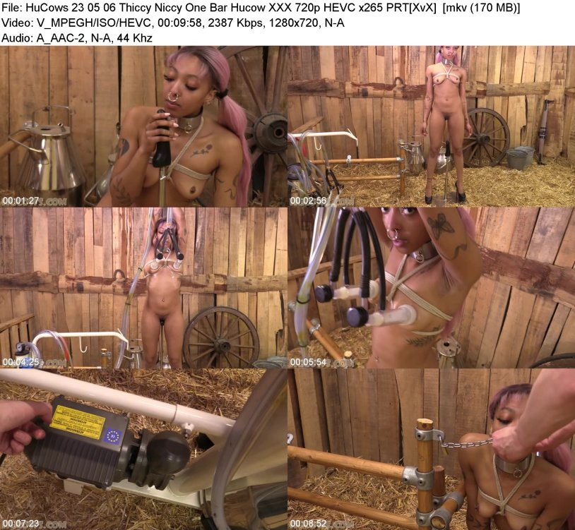 Hucows Katarina Doeil apparatus