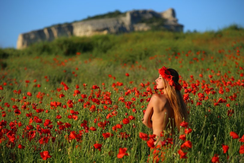 Poppy field Crimea
