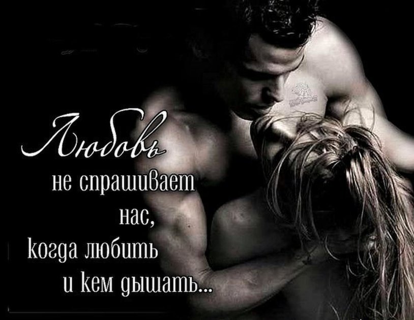 Erotic confessions in love