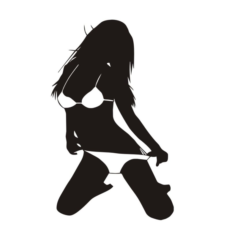 Auto stickers for girls