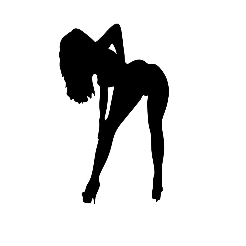 Erotic female silhouette