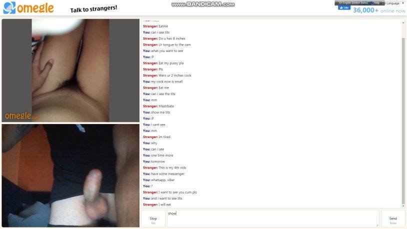 Omegle talk strangers