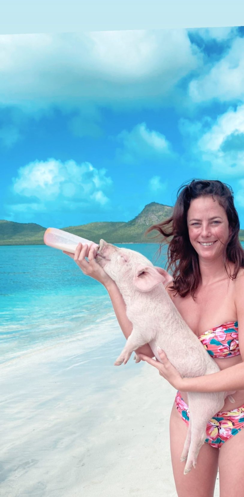 Pig island on Bagama