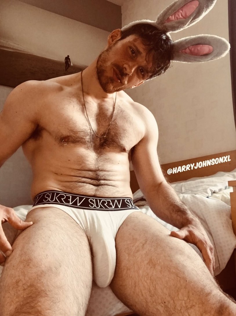 Harry Johnson @harryjohnsonxl