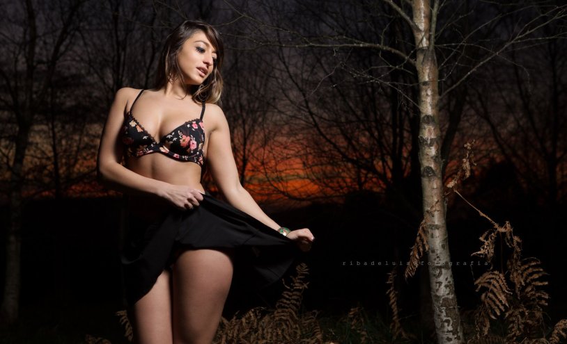 Beauty in the forest