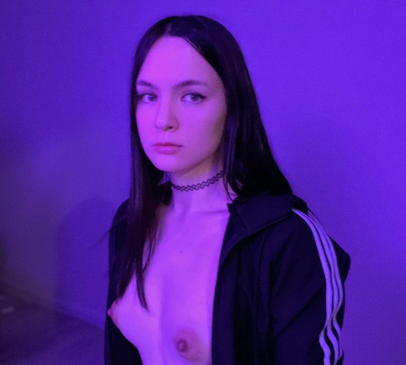 Webcams of the model