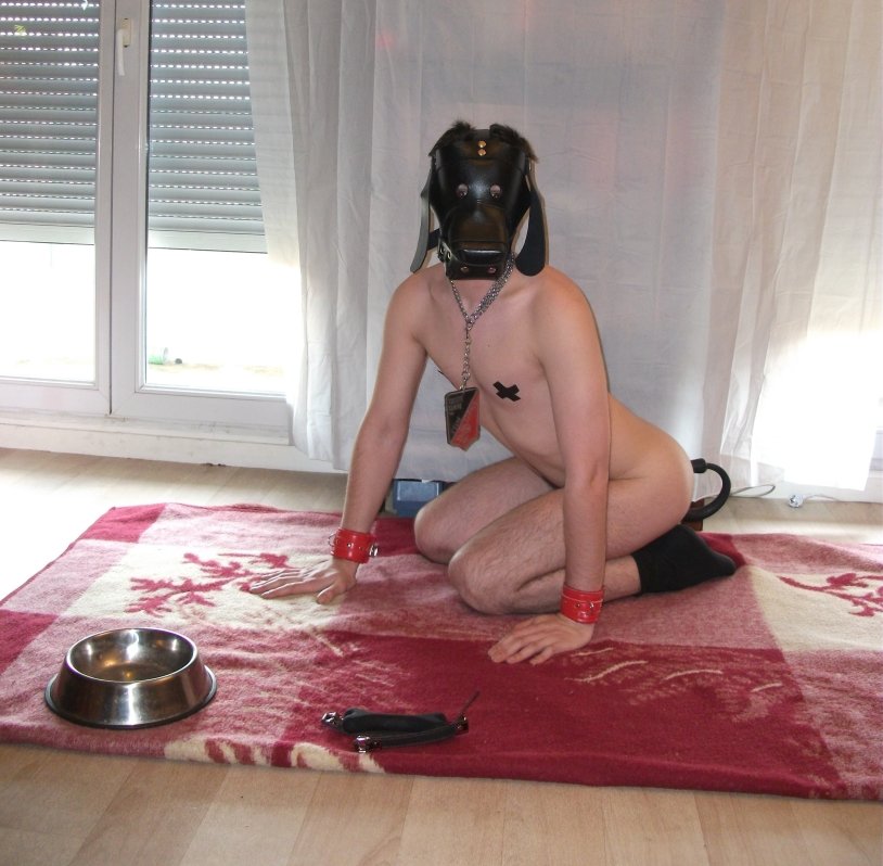 Pet Play Nude Selfie Homemade BDSM