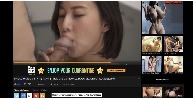 Japanese porn