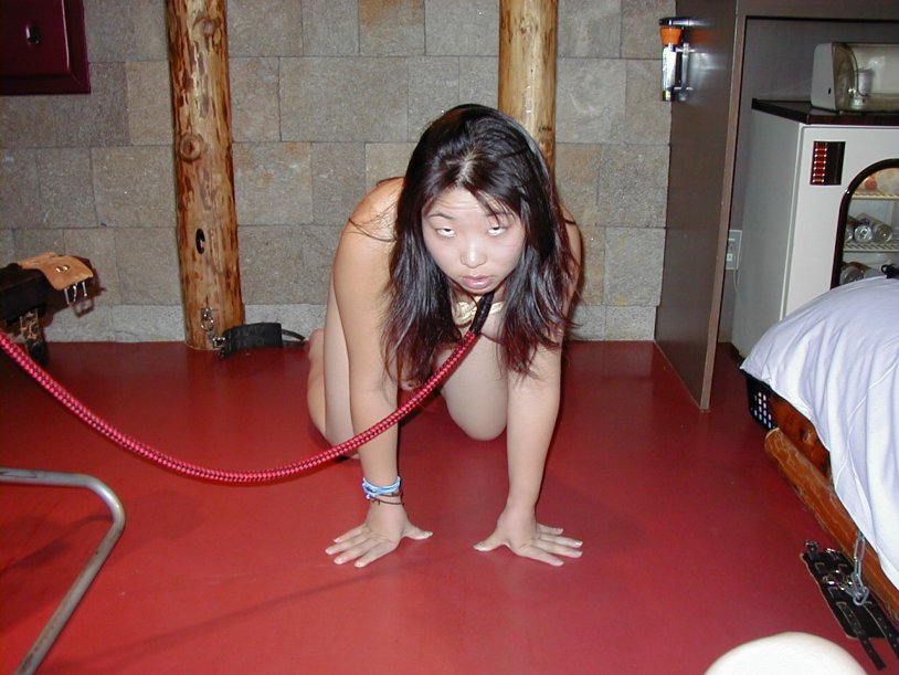 Japanese BDSM Festival Petgirls