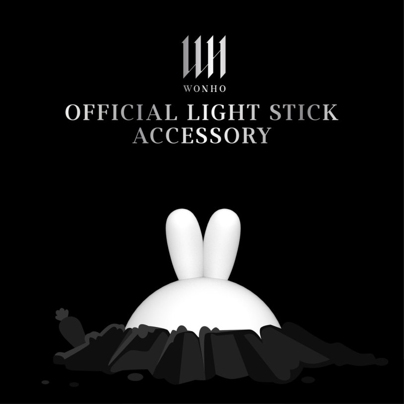 Official light stick