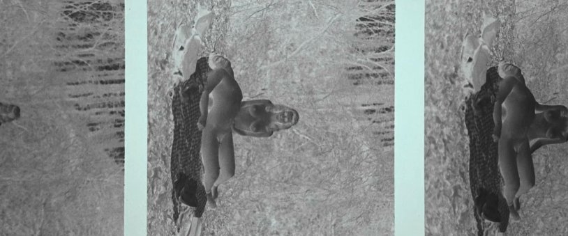 Riley Kio Cut off boobs