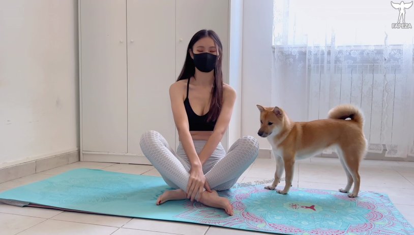 Yoga pose of a dog